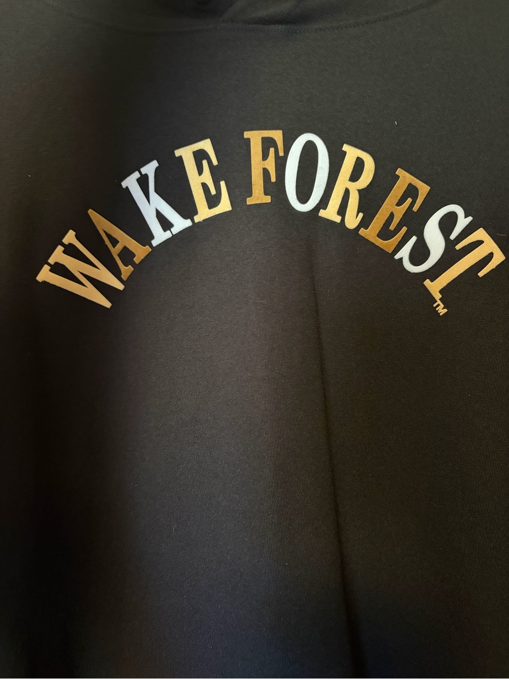 Wake Forest Champion Black Hoodie Sweatshirt - Picture 2 of 7